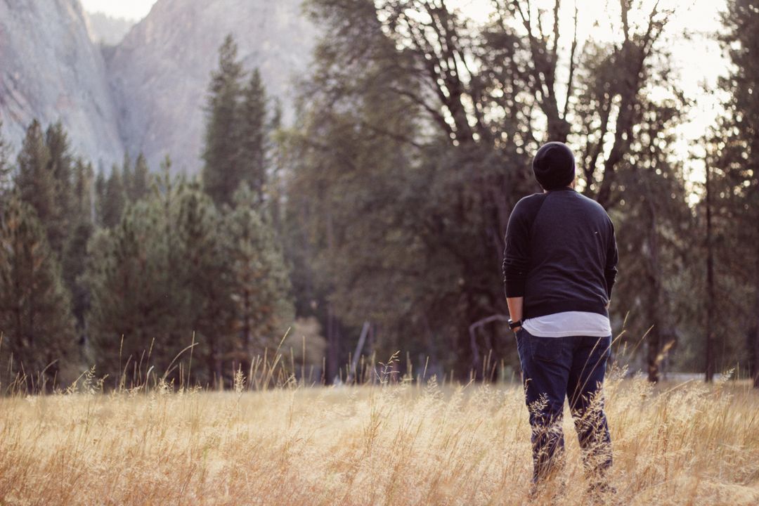 Person Admiring Nature in Forest Clearing, Misty Mountains - Free Images, Stock Photos and Pictures on Pikwizard.com