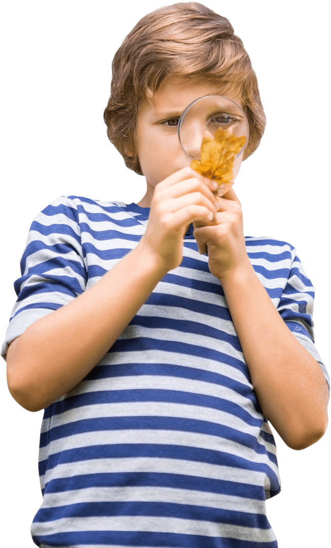 Curious Child Examining Leaf with Magnifying Glass Transparent Background