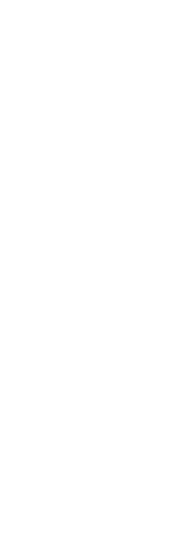 White Abstract Plant Illustration on Transparent Background