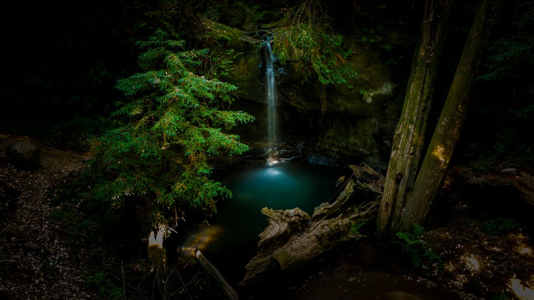 Hidden Forest Waterfall Creating Serene Pool