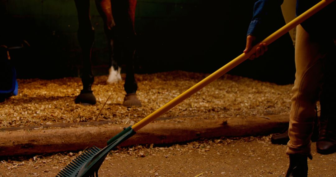 Stable Worker Cleaning Horse Stall with Rake - Free Images, Stock Photos and Pictures on Pikwizard.com