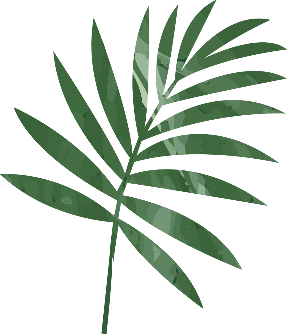 Transparent Tropical Palm Frond with Mottled Green Leaves