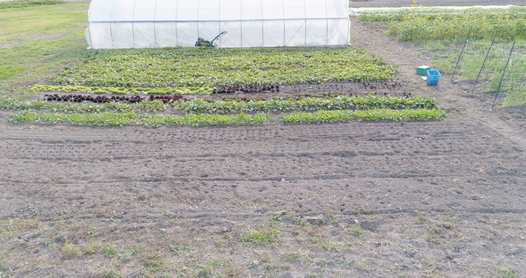 Aerial View of Organic Vegetable Garden with Greenhouse - Free Images, Stock Photos and Pictures on Pikwizard.com