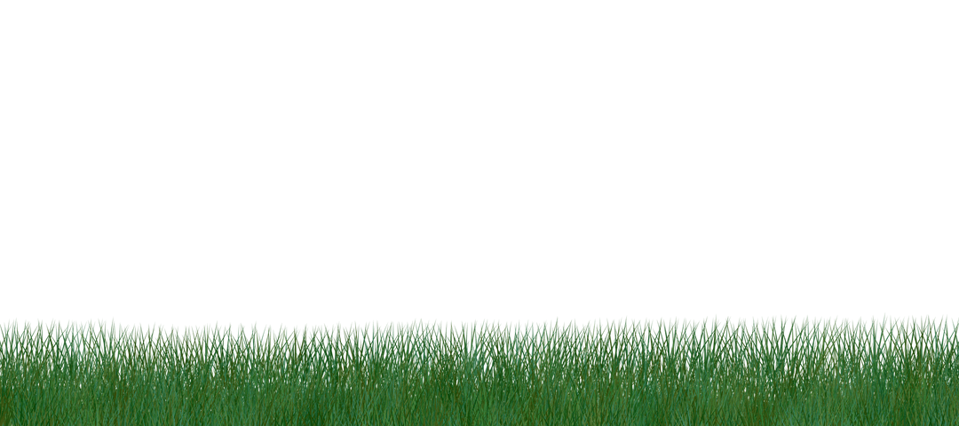 Green Grass on Transparent Background for Botanical Designs