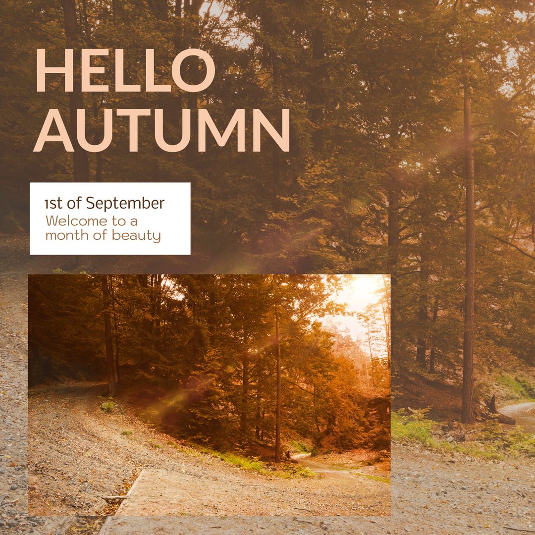 Scenic Autumn Pathway Amongst Vibrant Foliage and Trees