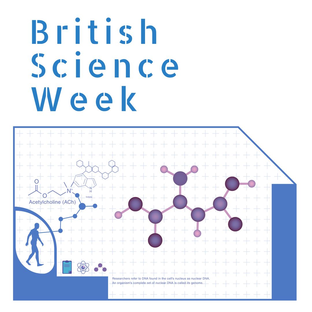 British Science Week Poster Featuring Molecular Chemistry Design