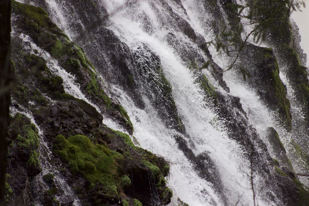 Cascading Waterfall in Lush Forest Environment - Free Images, Stock Photos and Pictures on Pikwizard.com