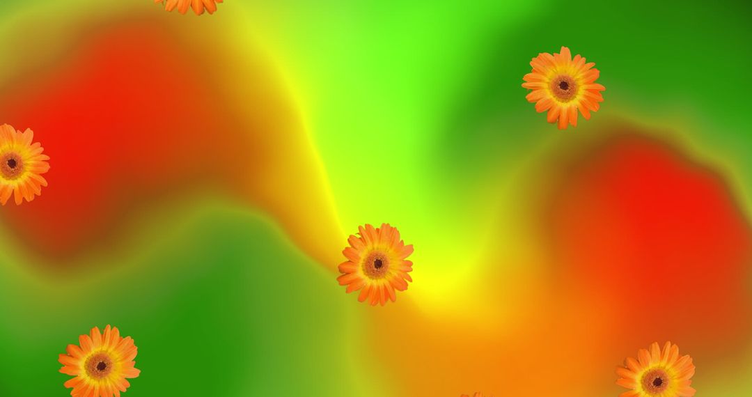 Floating Gerber Daisies on Abstract Colorful Green Red Background - Free Images, Stock Photos and Pictures on Pikwizard.com