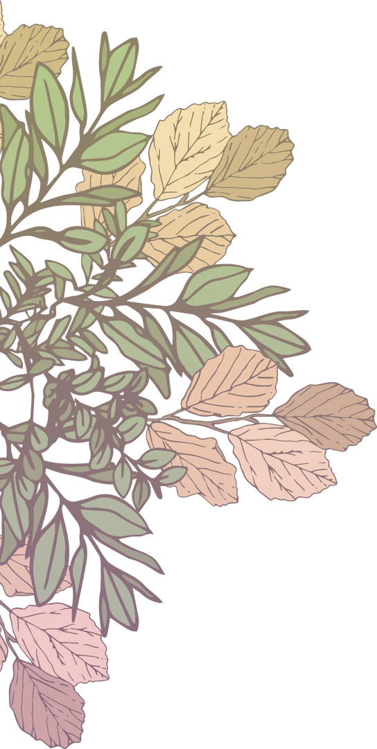 Colorful Leaves Illustration on Transparent Background