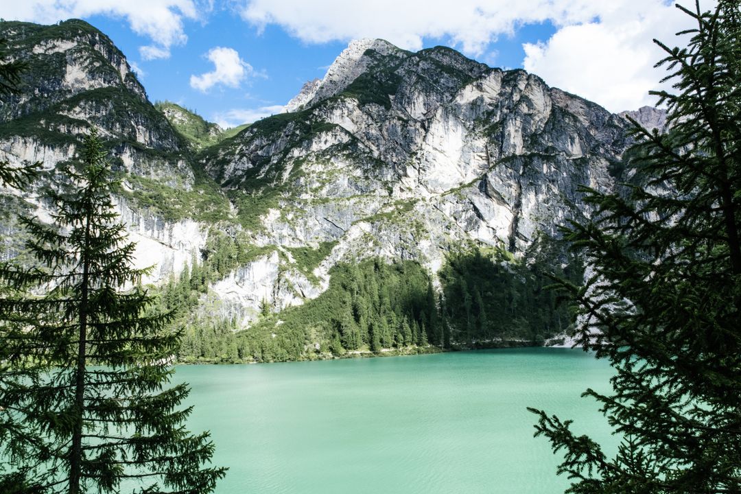 Tranquil Mountain Lake with Clear Turquoise Water and Pine Trees - Free Images, Stock Photos and Pictures on Pikwizard.com