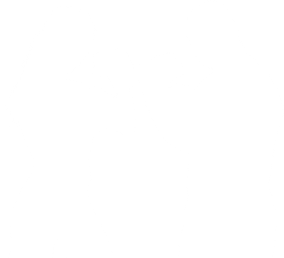 Boxing Fighter Silhouettes of Man and Woman with Transparent Background - Download Free Stock Images Pikwizard.com