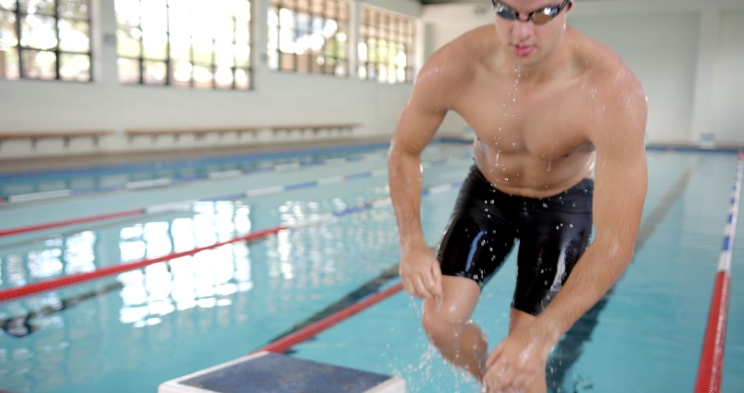 Competitive Swimmer Preparing to Dive in Indoor Pool