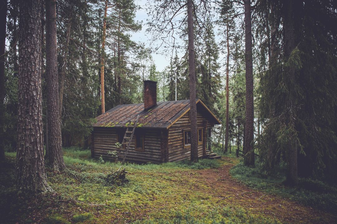 Rustic Wooden Cabin in Forested Wilderness Surrounded by Pine Trees - Free Images, Stock Photos and Pictures on Pikwizard.com