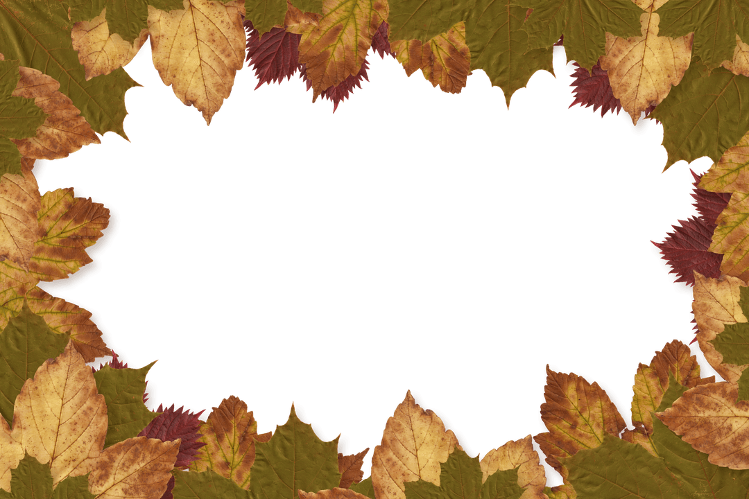 Transparent Frame with Autumn Leaves for Seasonal Design
