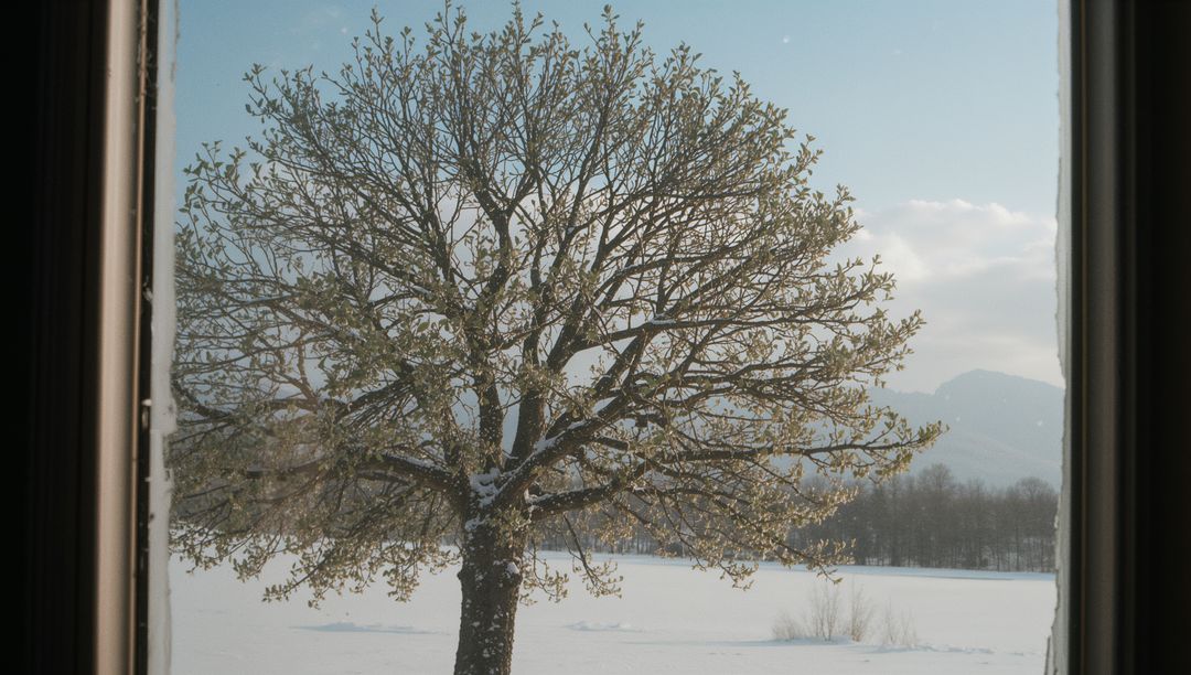 Serene Snow-Covered Tree Seen Through Vintage Window Frame