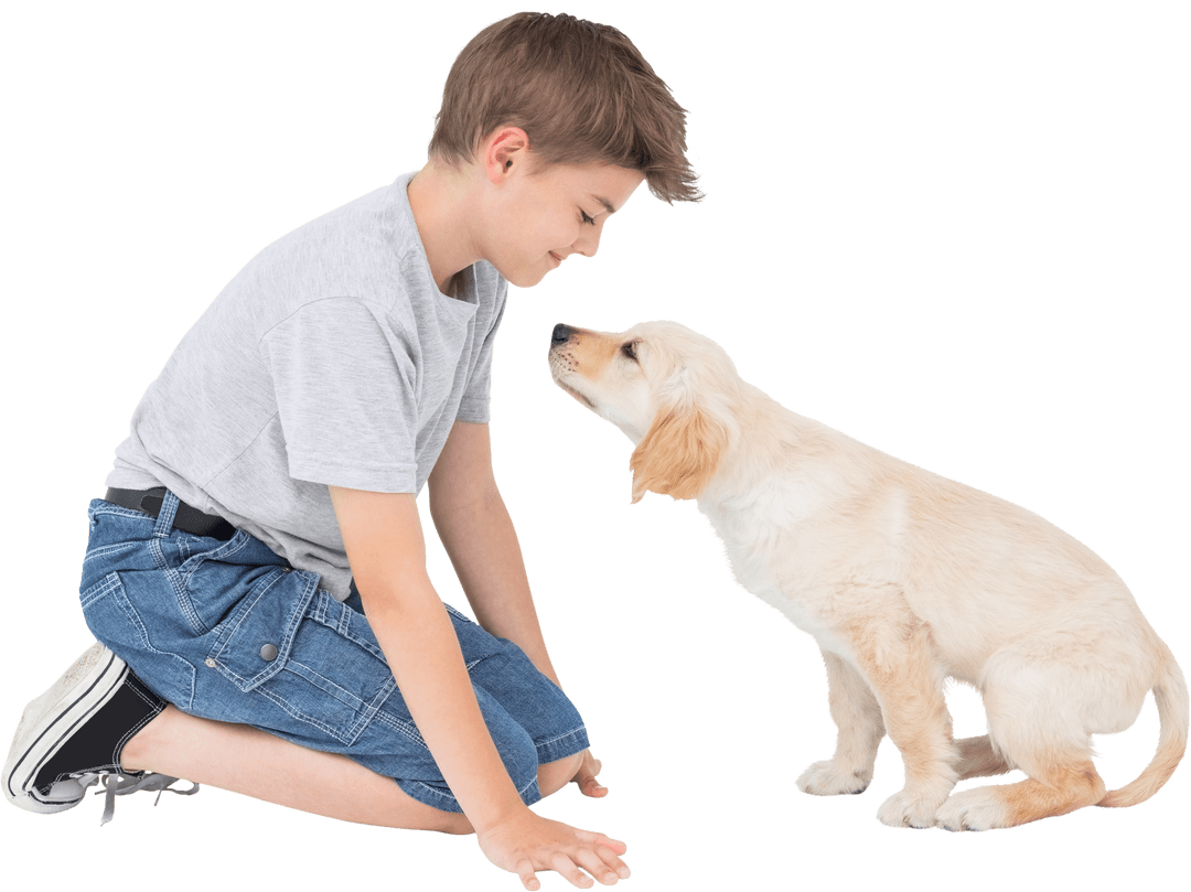 Boy Interacting with Playful Puppy on Transparent Background