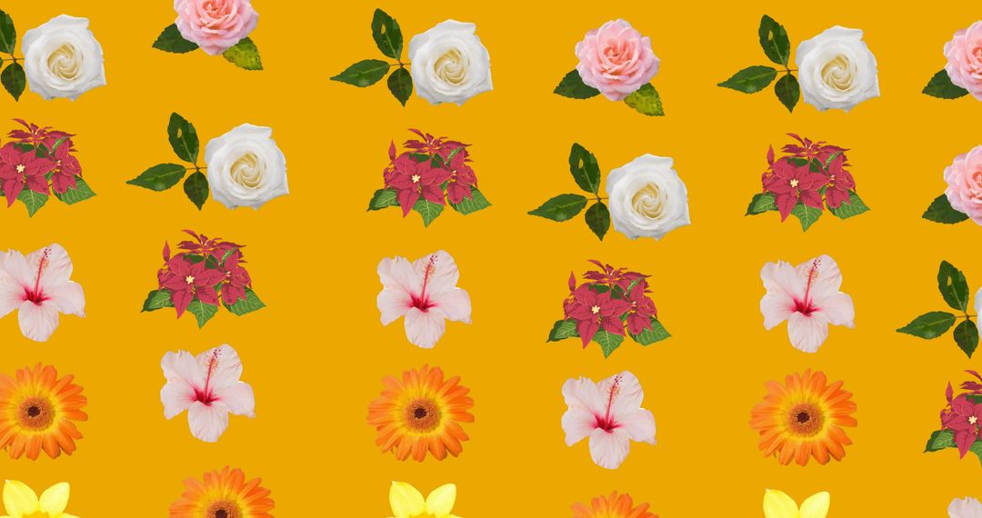 Colorful Floral Motion Pattern with Orange Background