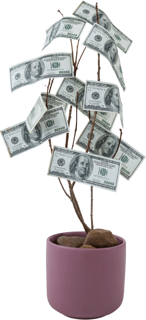 Transparent Money Plant with Dollar Bills in Pot