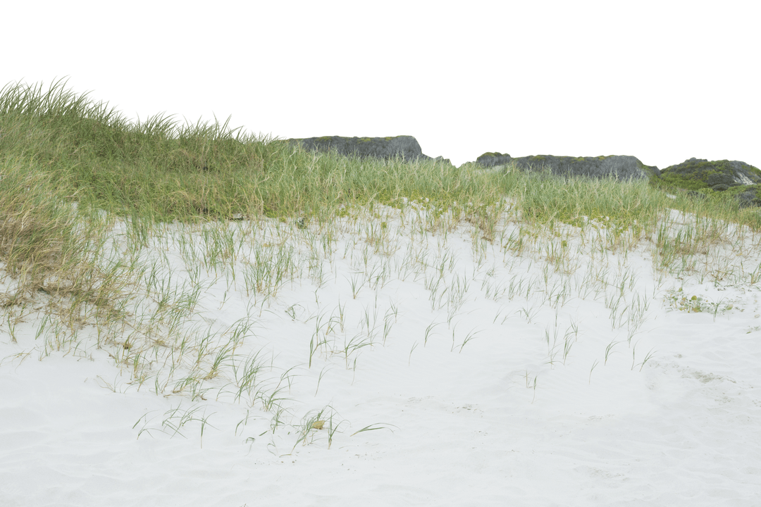 Transparent Beach Dune with Grass Isolated Sea Nature Concept