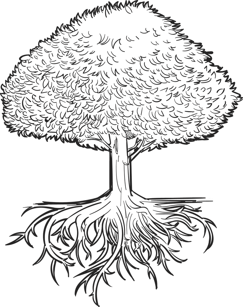Botanical Stylized Tree With Intricate Roots on Transparent Background