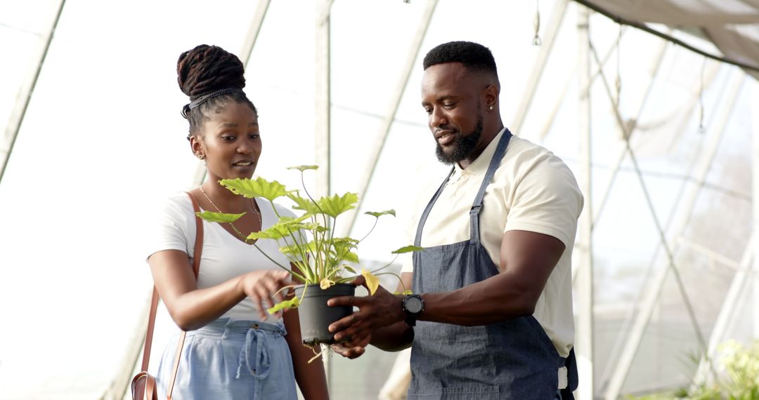 Customer and Assistant Examining Plant in Greenhouse Environment
