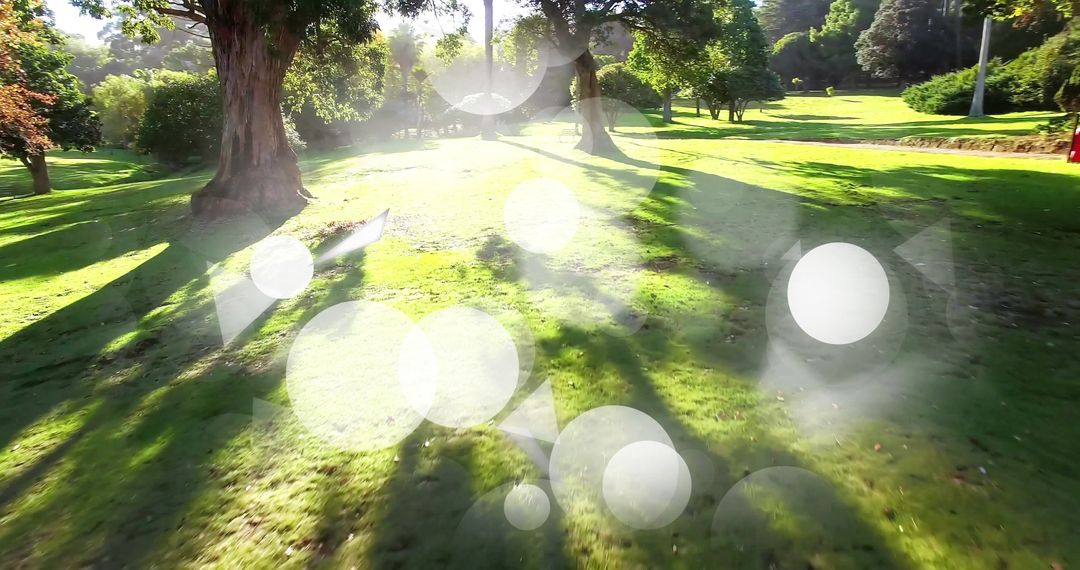 Sunlit Park Pathway with Mystical Bokeh Lens Flare Effect