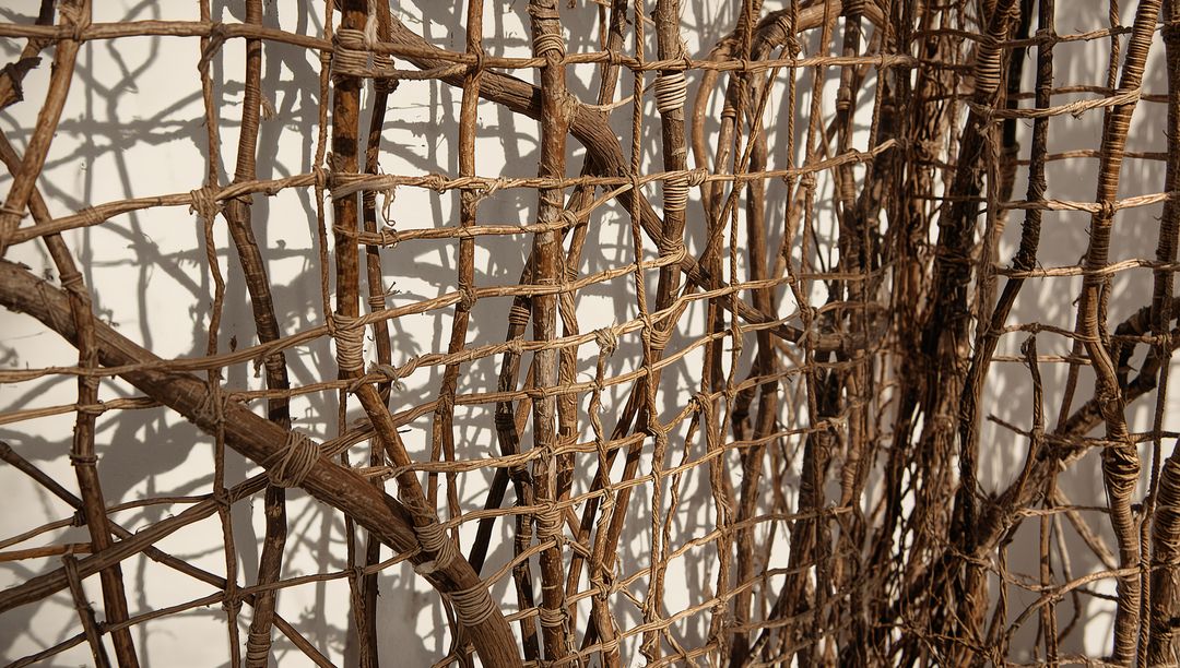 Rustic Woven Branch Lattice Casting Intricate Sunlit Shadows on White Plaster Wall