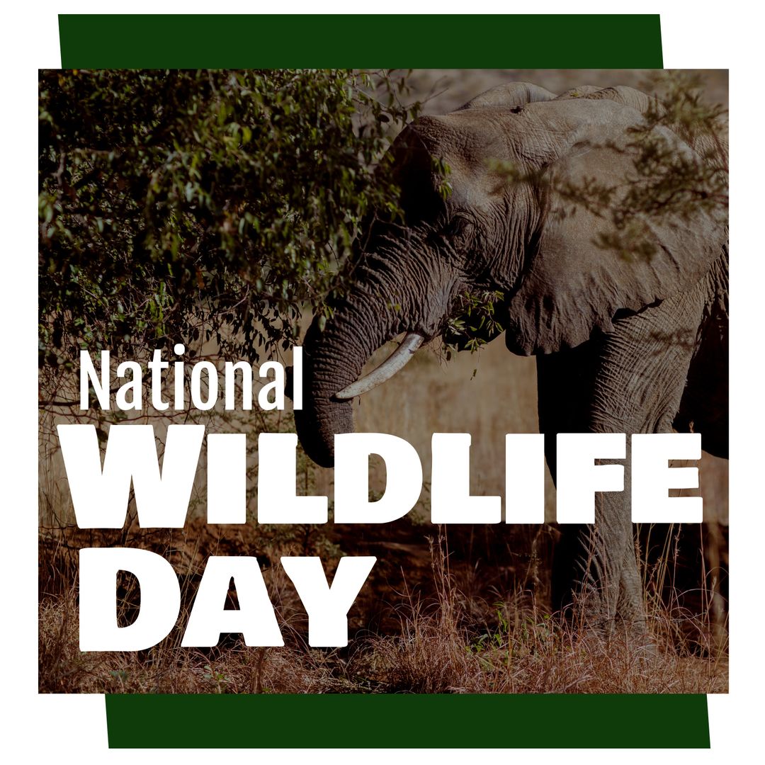National Wildlife Day Banner with Majestic Elephant