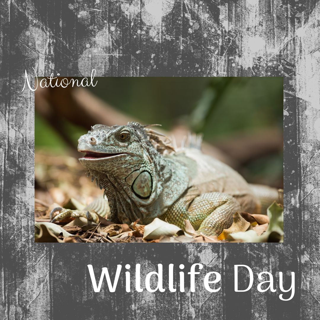 National Wildlife Day Celebration Lizard Banner