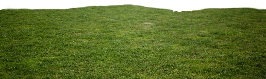 Green Meadow on Transparent Background - Nature Landscape Concept
