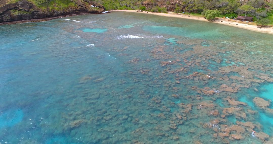 Aerial View of Tropical Beach with Coral Reefs and Clear Blue Water - Free Images, Stock Photos and Pictures on Pikwizard.com