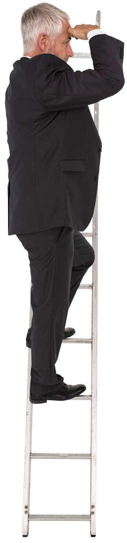 Transparent Businessman Standing on Ladder Seeking Future Icon - Download Free Stock Images Pikwizard.com