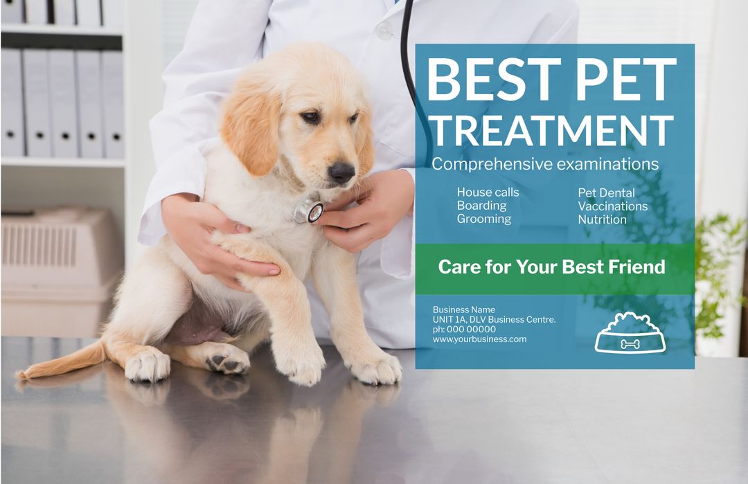 Veterinarian with Puppy Promoting Compassionate Pet Care Services