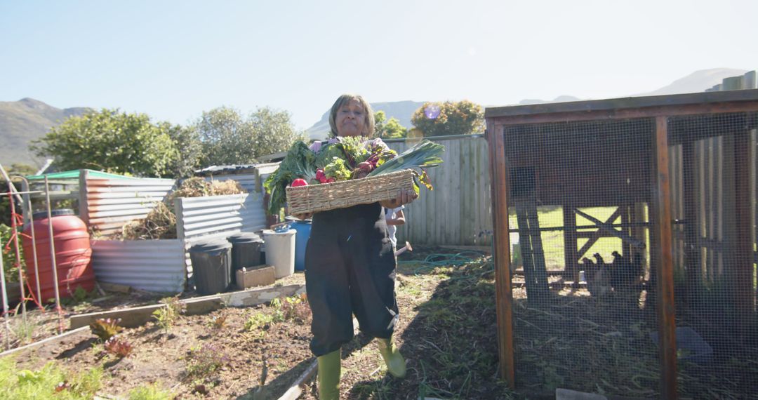 Woman Harvesting Fresh Vegetables in Backyard Garden - Free Images, Stock Photos and Pictures on Pikwizard.com