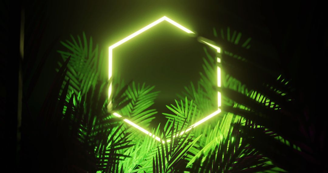 Neon Yellow Hexagon Illuminating Tropical Leaves on Black Background - Free Images, Stock Photos and Pictures on Pikwizard.com