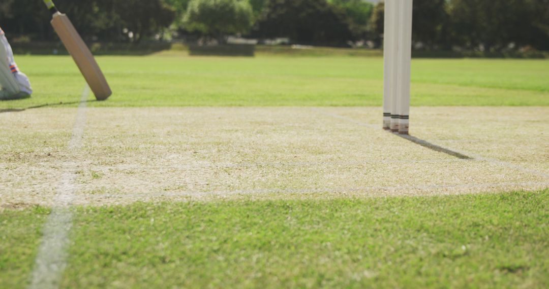 Cricket Pitch with Player in Action on Sunny Day
