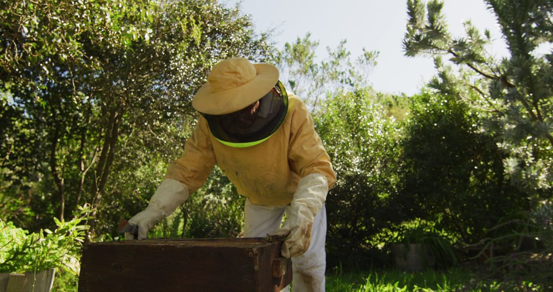 Beekeeper Examining Honeycomb in Lush Green Garden