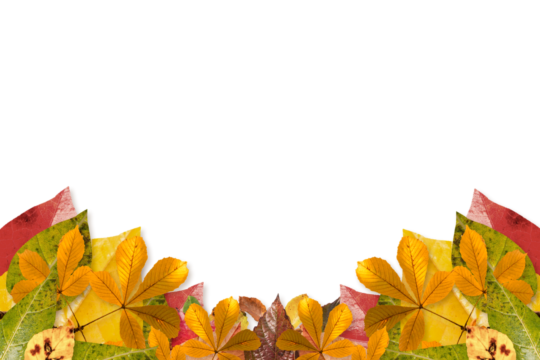 Autumn Leaves Border on Transparent Background - Download Free Stock Images Pikwizard.com