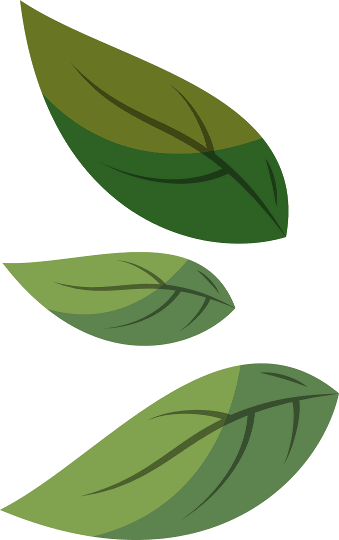 Nature Themed Transparent Leaves Illustration with Green Gradients
