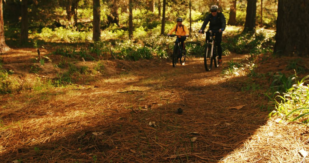 Two Cyclists Enjoying Relaxing Ride Through Forest Path on Sunny Day - Free Images, Stock Photos and Pictures on Pikwizard.com