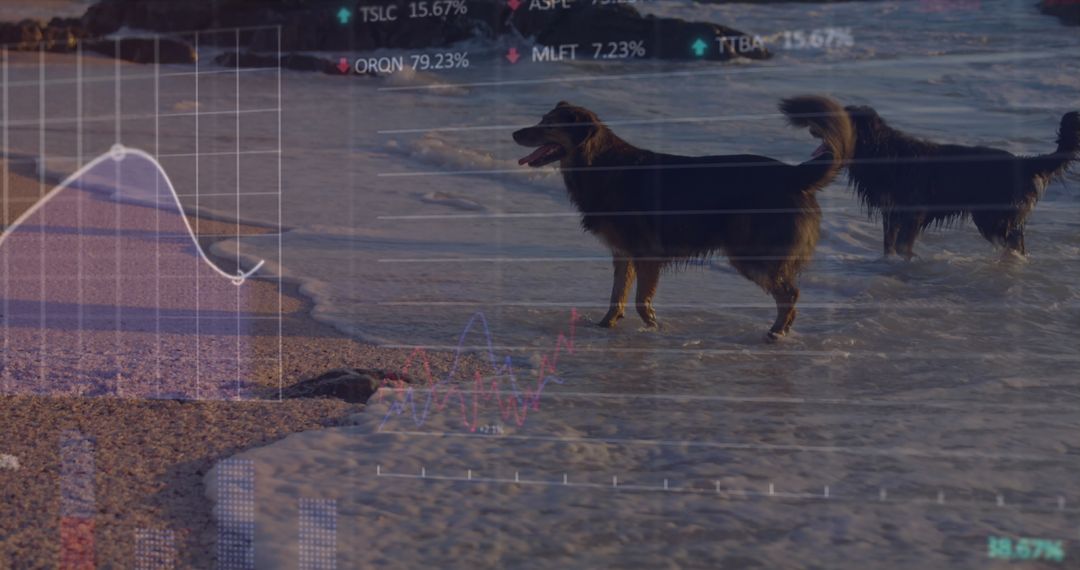 Data Overlay on Dogs Beach Scene Merging Nature and Technology