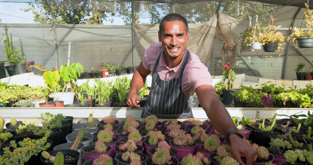 Man Working with Succulents in Greenhouse: Urban Farming Concept