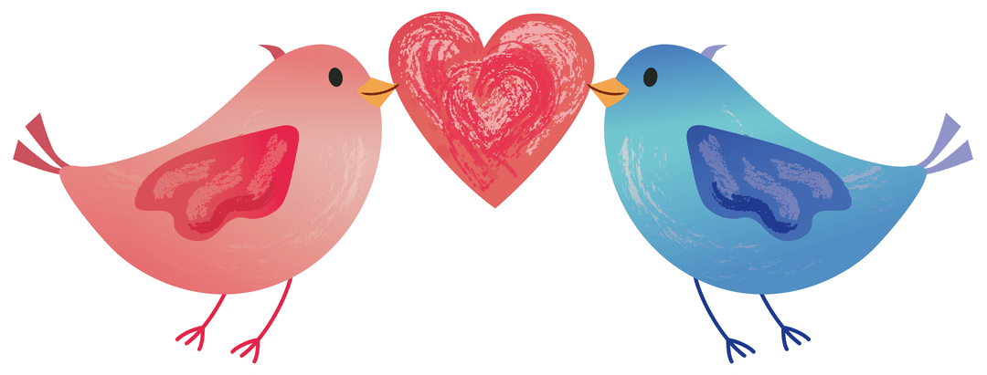 Whimsical pink and blue birds with heart on transparent background