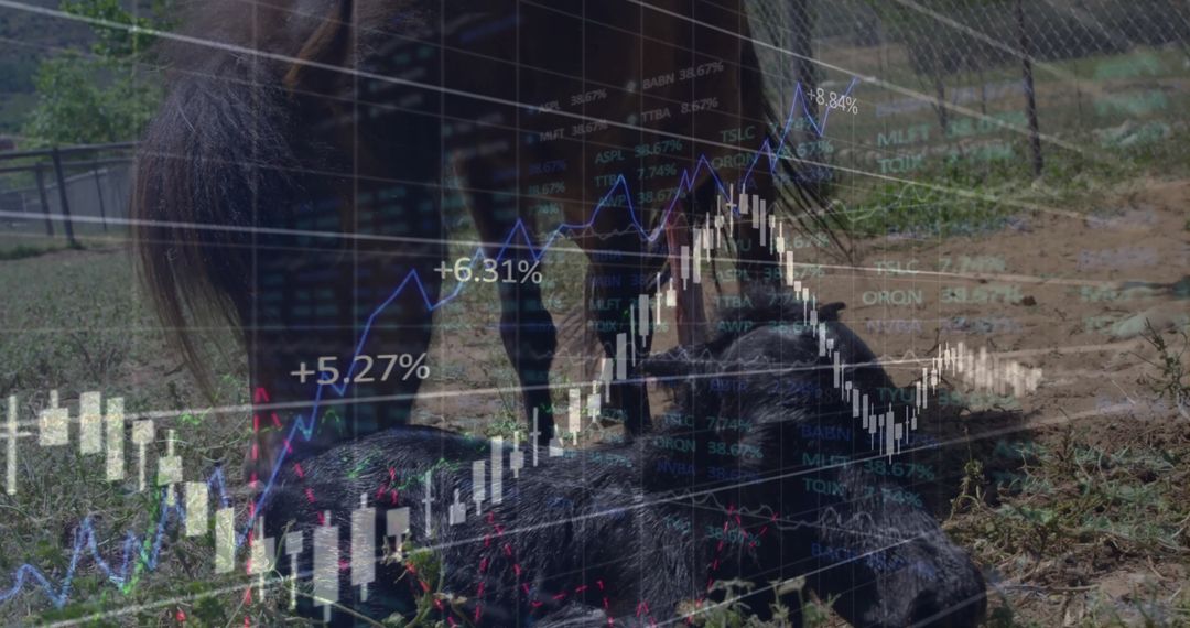 Livestock Harmony with Stock Market Data Overlay