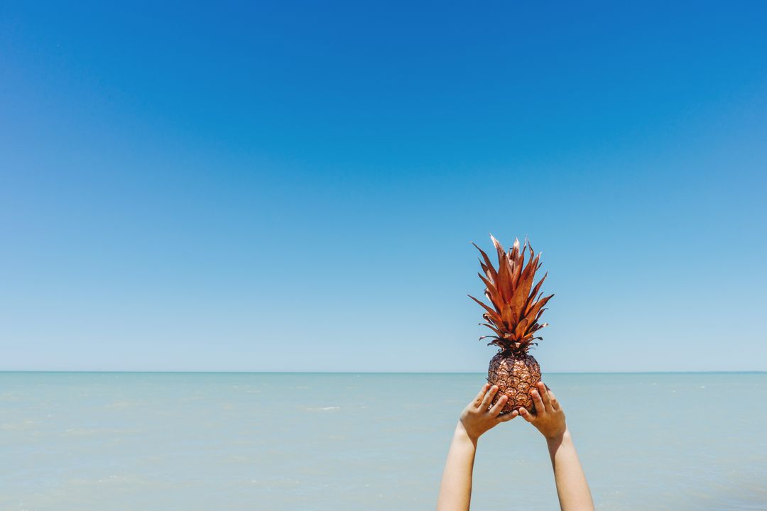Person Holding Pineapple Against Clear Blue Sky and Sea - Free Images, Stock Photos and Pictures on Pikwizard.com
