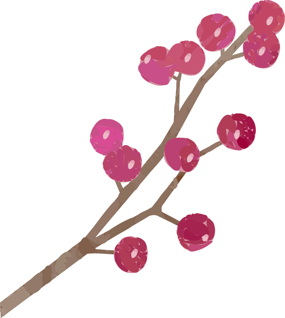 Stylized Branch with Pink Buds on Transparent Background
