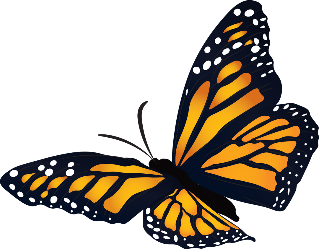 Vivid Abstract Orange Butterfly Illustration on Transparent Background - Download Free Stock Images Pikwizard.com