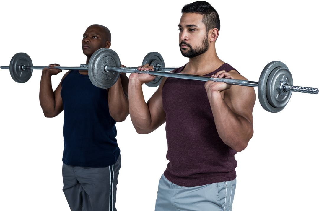 Athletic Men Lifting Barbell Together on Transparent Background - Download Free Stock Images Pikwizard.com