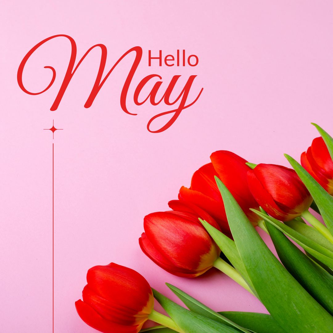 Hello May with Red Tulips on Pink Background