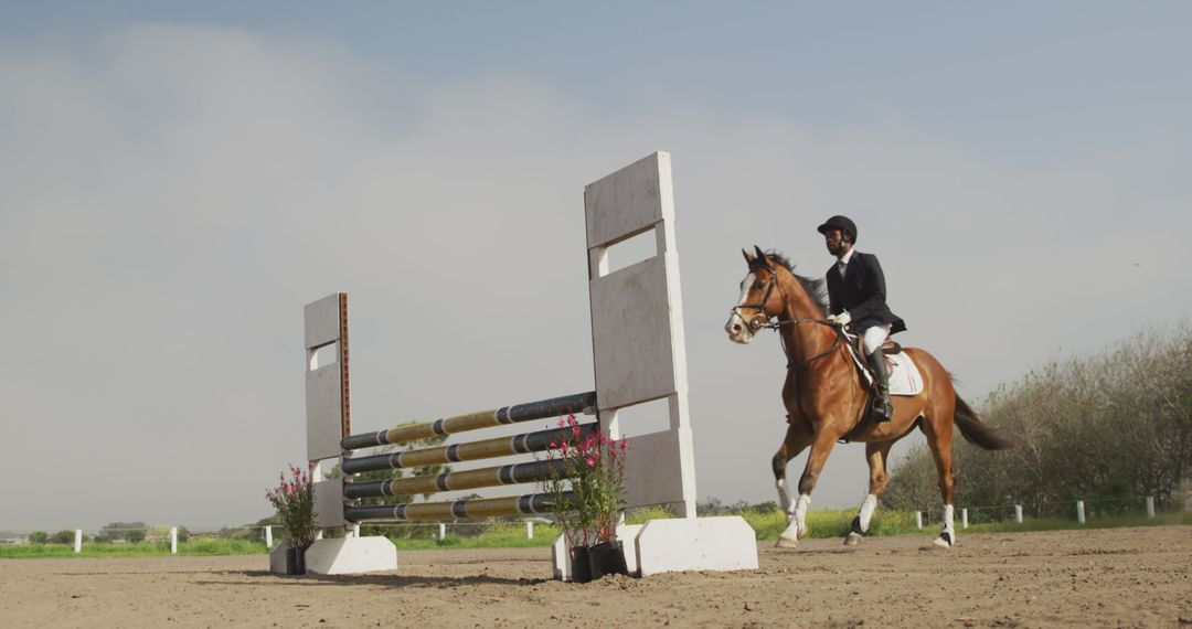 Equestrian Rider Jumping Fence During Horse Show - Free Images, Stock Photos and Pictures on Pikwizard.com